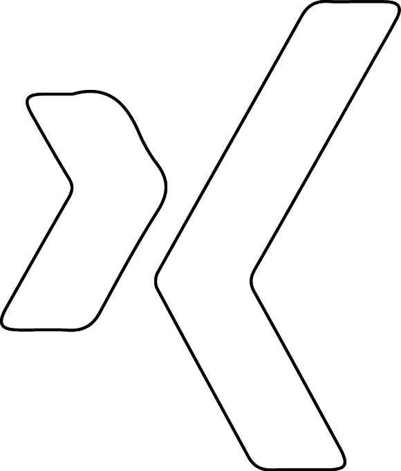 xing icon